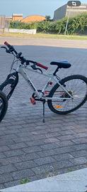 Rockrider s300