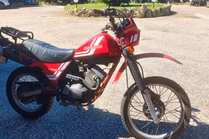enduro 350