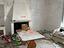 Immagine 7