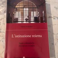 L'istituzione reietta - Valeria Verdolini