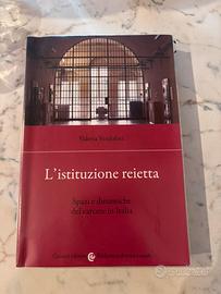 L'istituzione reietta - Valeria Verdolini