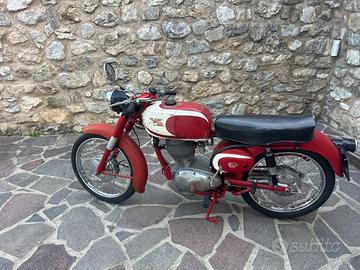 Morini tresette sprint