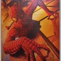 Spiderman DVD edizione limitata Marvel