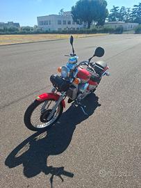 aprilia red rose 