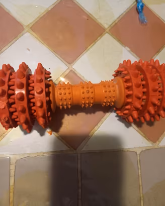 kong per animali 