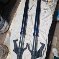 forcelle fz1