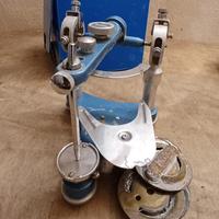 Articolatore dentatus