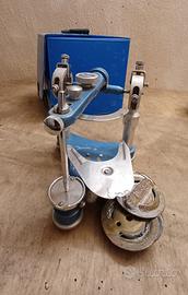 Articolatore dentatus