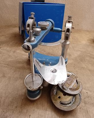 Articolatore dentatus