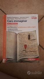 Caro Immaginar Poesia e Teatro 