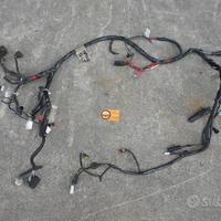 Impianto elettrico piaggio vespa primavera 50 4T