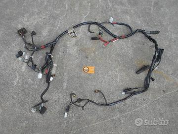 Impianto elettrico piaggio vespa primavera 50 4T