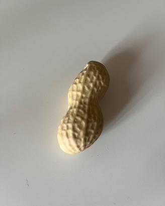 Maxi gomma per cancellare forma arachide