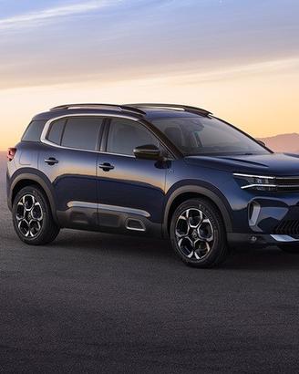 Musata e ricambi citroen c5 aircross 2024