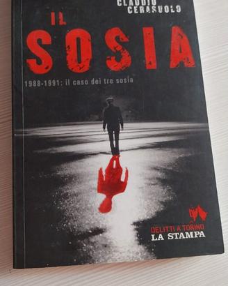 Il sosia