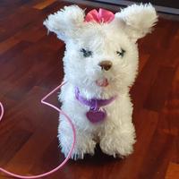 Cagnolina con guinzaglio che cammina e abbaia