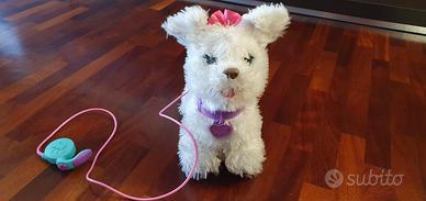 Cagnolina con guinzaglio che cammina e abbaia