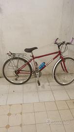 Bici MTB