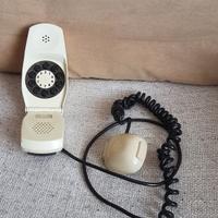 telefono grillo