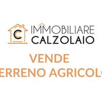 Vendita terreno agricolo zona industriale