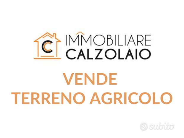 Vendita terreno agricolo zona industriale