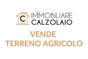 Vendita terreno agricolo zona industriale