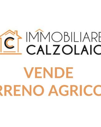 Vendita terreno agricolo zona industriale