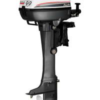 Motore Fuoribordo Selva 9.9 cavalli Piranha