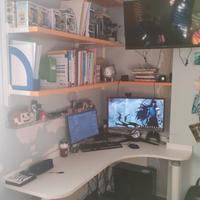 Camera da letto scrivania e libreria