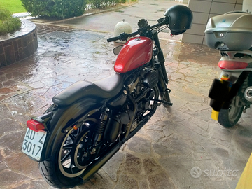 Harley Davidson Sportster 883