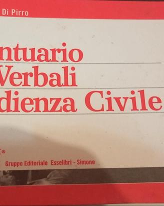 Prontuario dei Verbali d'Udienza