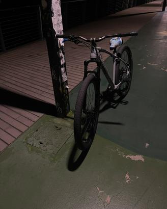 C100 collective bike
