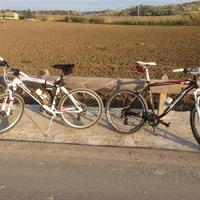 vemdesi mountain bike in perfette condizioni