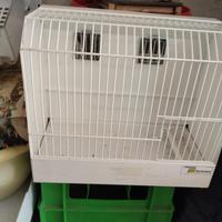 gabbia da esposizione