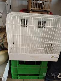 gabbia da esposizione