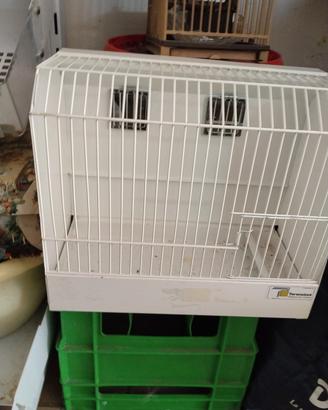 gabbia da esposizione