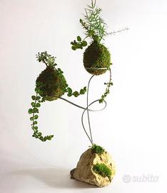 Kokedama personalizzata