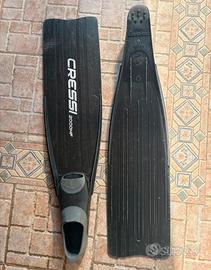 Pinne pesca sub