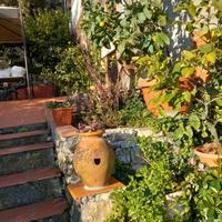 Giardiniere esperto