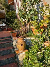 Giardiniere esperto