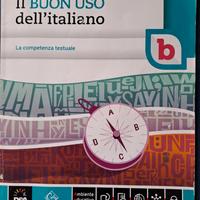 Il Buon Uso dell'Italiano  - Volume B