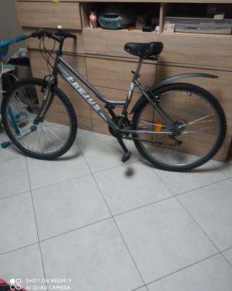 bicicletta Frejus