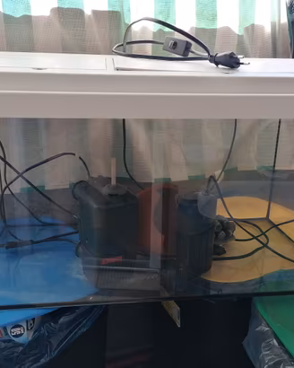 Acquario completo