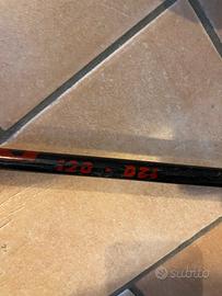 Sci Blizzard 160 con bastoncini