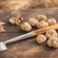Vanghetto Professionale a Bandiera Norme Toscana