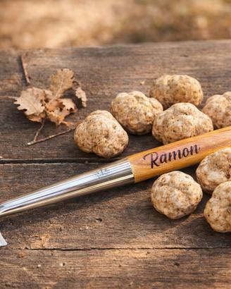 Vanghetto Professionale a Bandiera Norme Toscana