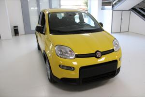 FIAT Panda 3ª serie - Panda 1.0 FireFly S&S Hybrid