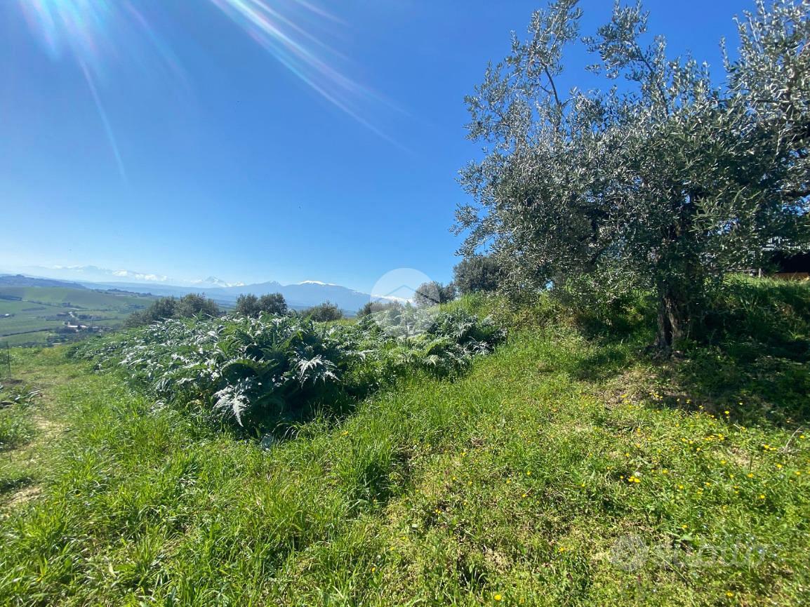 RUSTICO A OFFIDA - Vista 6