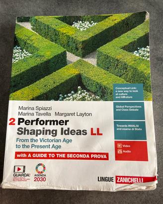 Performer shaping ideas 2