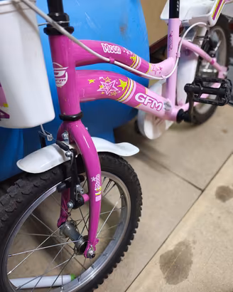 N 2 biciclette bambina GFM